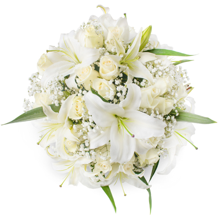 Captured from directly above on a pristine white field, this round, densely packed bouquet is all white, cream and a whisper of green - a carefully composed emblem of timeless elegance. The arrangement is anchored by several large white lilies whose broad, scooped petals curve outward like trumpets; near their centres delicate pale green stamens and subtle shadowing give each bloom a sculpted, three-dimensional presence. Interlaced among the lilies are many cream and ivory roses, most still in bud or half-open, their velvety spirals forming compact, tactile rosettes that contrast with the lilies' expanses. Between and around these principal flowers, fine sprays of Gypsophila introduce a filigree of tiny white blossoms, lending an airy, cloud-like texture that both fills and frees the visual field. A few glossy green leaves are visible at the periphery, their fresh tones sharpening the bouquet's circular silhouette and suggesting the living stems beneath. The overall effect is serene and ceremonial, suited to bridal use, christenings, or a tasteful sympathy tribute; the bouquet feels like a breath of calm, purity, and reassurance. In the hands of an experienced local florist this composition would be hand-tied and finished so petals sit just so, ideal for a wedding at a small Kingsbury chapel or for a quiet gathering after a stroll in Fryent Country Park. The neutral lighting highlights petal edges and the subtle interplay of white and cream, while the design's symmetry reflects careful craftsmanship and an understanding of how simple colours carry deep meaning.