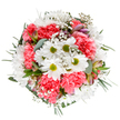 Evoking a sense of springtime renewal, this vividly arranged bouquet is lovingly crafted by Kingsbury's experienced florists to capture life's happiest moments. At the bouquet's center, white daisies with bold lime-green eyes sparkle with positivity, encircled by billowed coral-pink carnations whose ruffled petals add playful depth and movement. Airy clouds of baby's breath meander throughout the composition, their tiny white blooms reminiscent of the gentle mist that rises over Kingsbury's woodlands in early May. Subtle alstroemeria buds with brushstrokes of purple and rich pink lie nestled in the greenery, anticipating the promise of future florets and enhancing the bouquet's sophistication. Eucalyptus leaves, softly dusted in silvery green, and dark emerald sprigs form a lush border, balancing the vivid blooms and echoing the calming vistas along Salmon Street. The overall palette is uplifting yet serene, the textures varied yet seamlessly integrated, reflecting the passion and artistry of Kingsbury's local florists. Perfect for gifting on a birthday, congratulating a friend, or simply bringing brightness to a beloved home or office in the heart of north-west London, this bouquet offers an exuberant yet restful sensory experience-a floral snapshot of community joy and renewal.